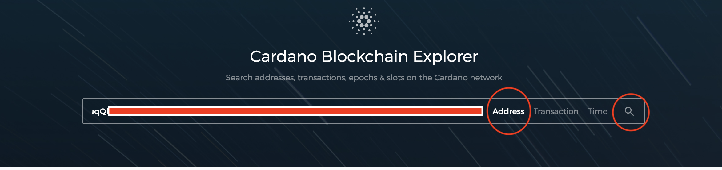 cardano_blockchain_explorer_paper_wallet.png